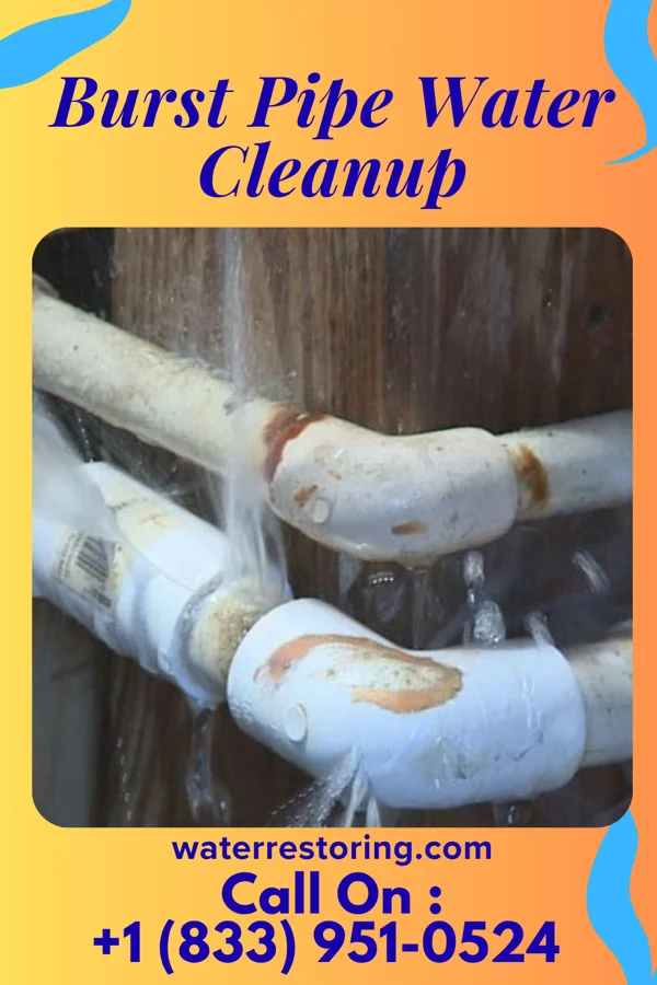 Burst Pipe Water Cleanup in Park Crest, PA