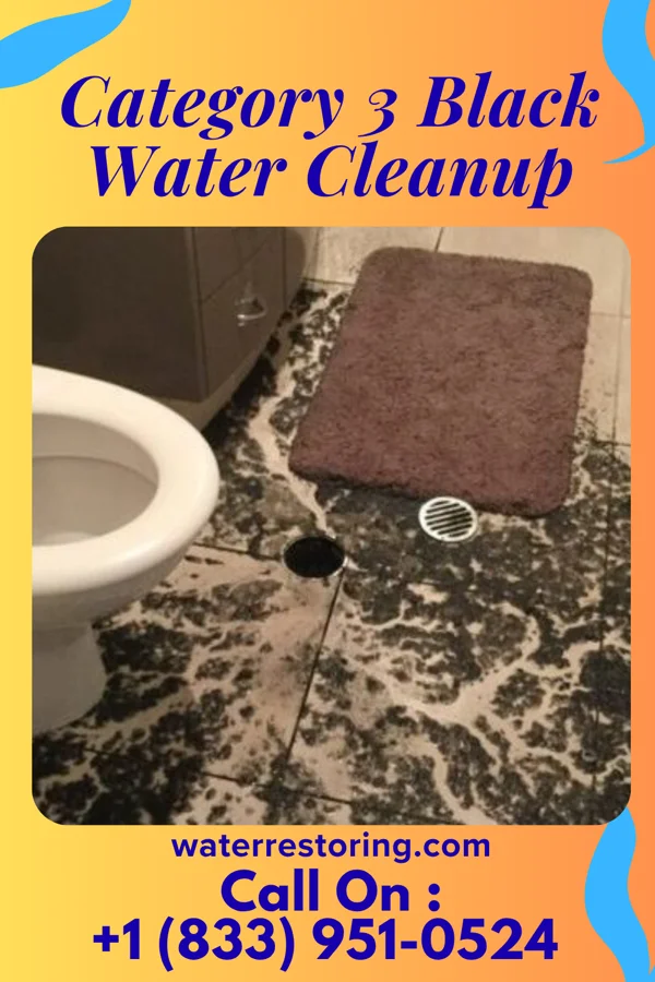 Category 3 Black Water Cleanup in Park Crest, PA