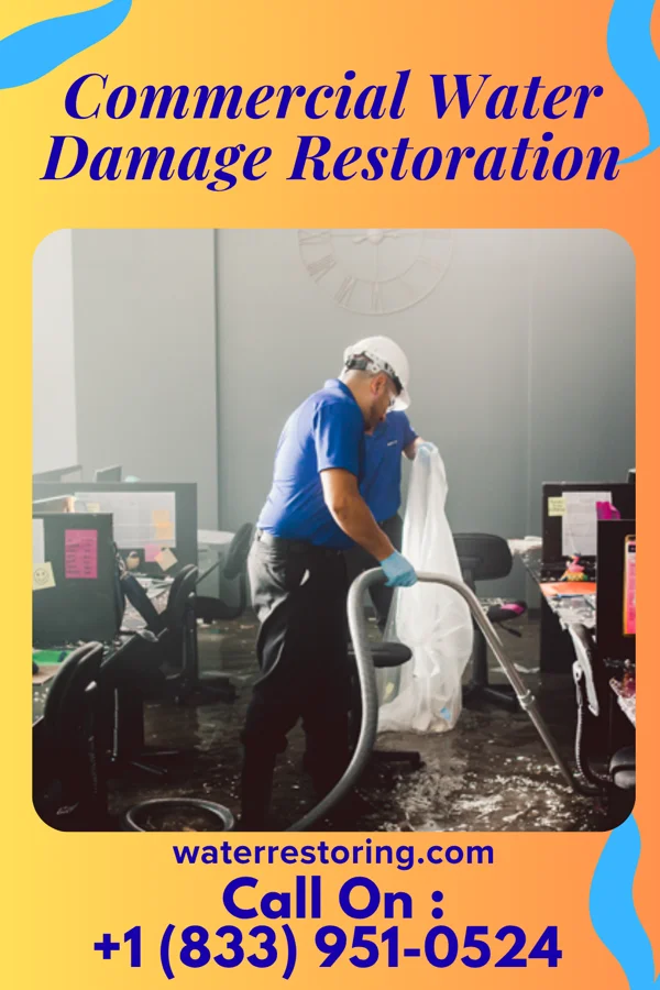 Commercial Water Damage Restoration in Park Crest, PA
