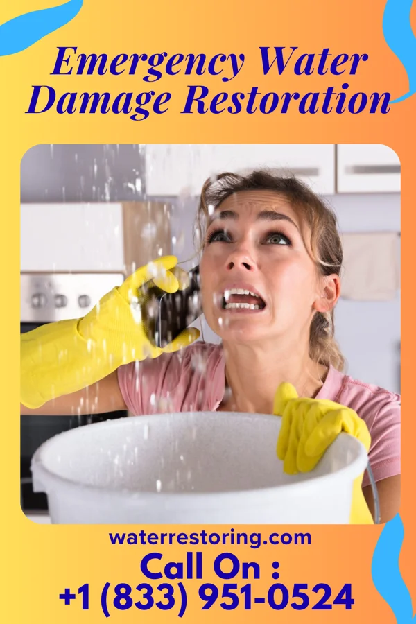 Emergency Water Damage Restoration in Park Crest, PA