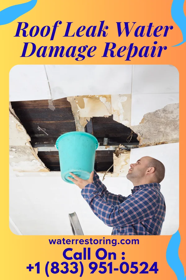 Roof Leak Water Damage Repair in Park Crest, PA
