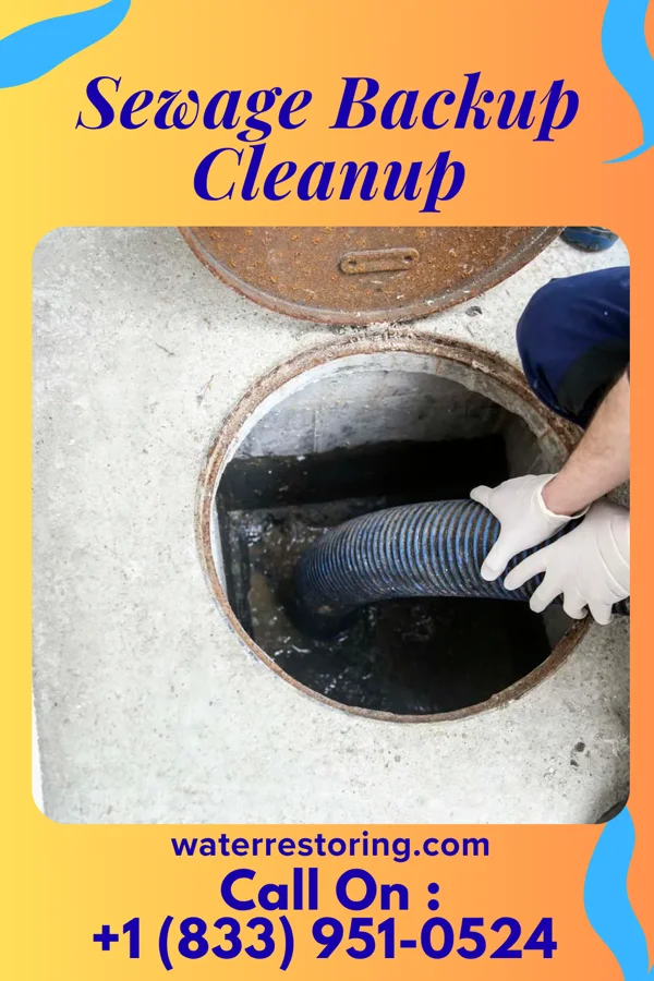 Sewage Backup Cleanup in Park Crest, PA