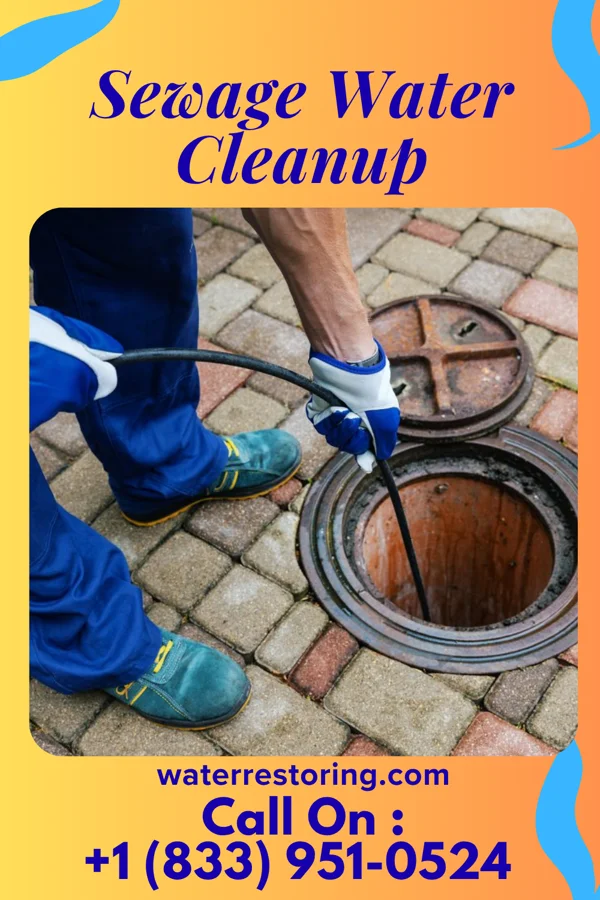 Sewage Water Cleanup in Park Crest, PA